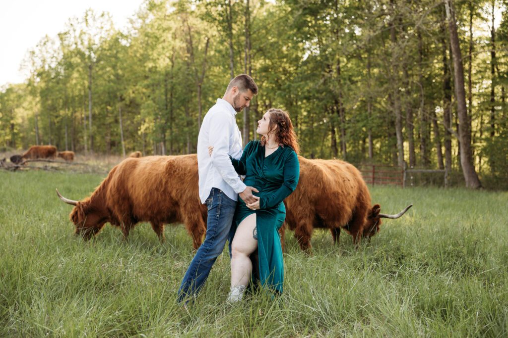 highland cow maternity photoshoot dylans farms louisville ky